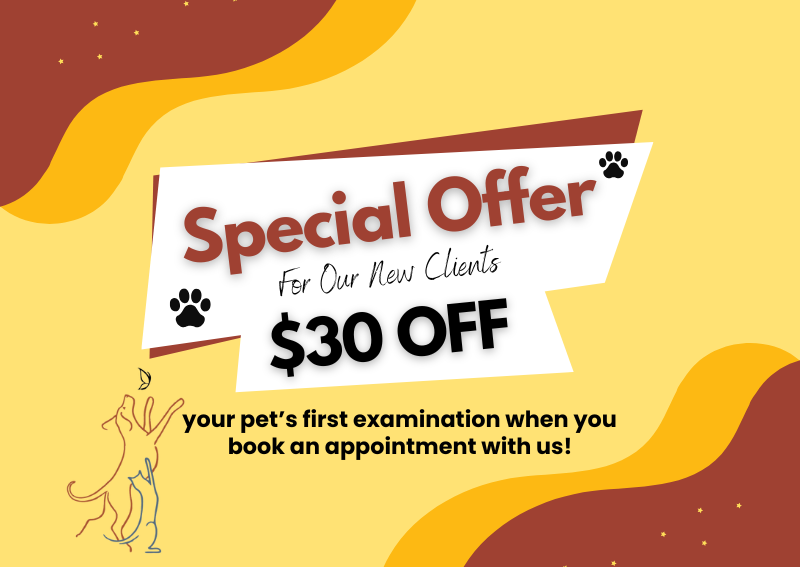 Carousel Slide 3: New Client Special Offer