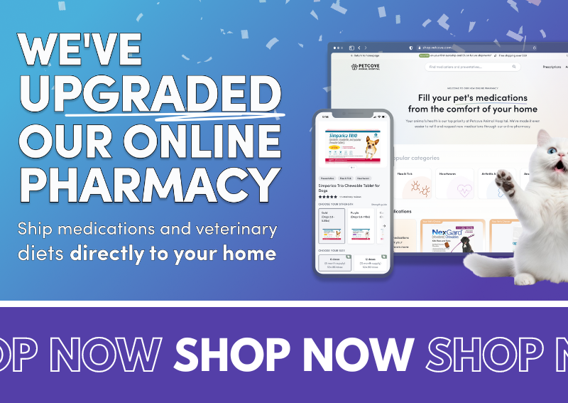 Carousel Slide 5: Online Pharmacy >